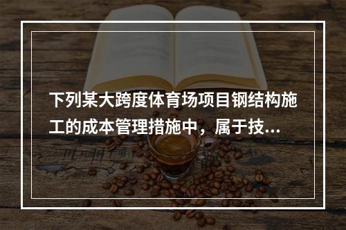 下列某大跨度体育场项目钢结构施工的成本管理措施中，属于技术措