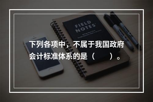 下列各项中，不属于我国政府会计标准体系的是（　　）。