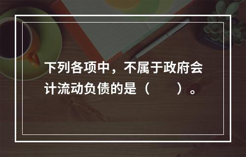 下列各项中，不属于政府会计流动负债的是（　　）。