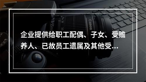 企业提供给职工配偶、子女、受赡养人、已故员工遗属及其他受益人