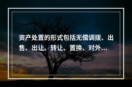 资产处置的形式包括无偿调拨、出售、出让、转让、置换、对外捐赠