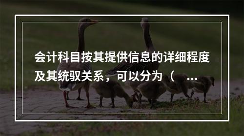 会计科目按其提供信息的详细程度及其统驭关系，可以分为（　　）