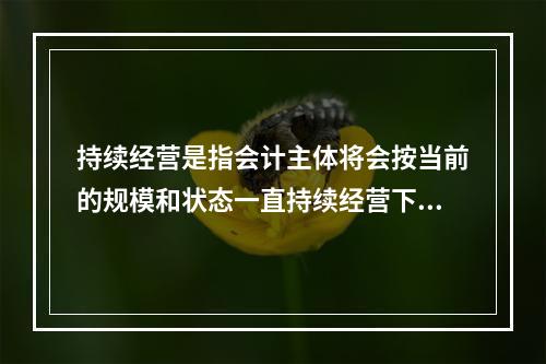 持续经营是指会计主体将会按当前的规模和状态一直持续经营下去，