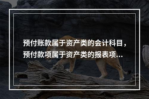 预付账款属于资产类的会计科目，预付款项属于资产类的报表项目。