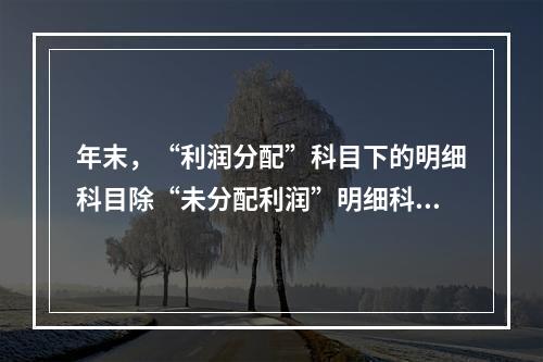 年末，“利润分配”科目下的明细科目除“未分配利润”明细科目外