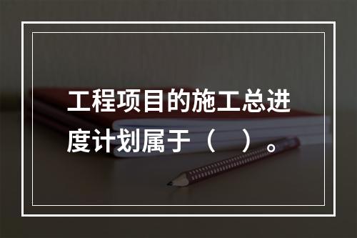 工程项目的施工总进度计划属于（　）。