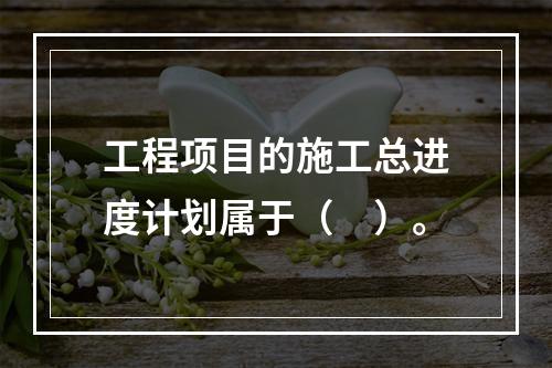 工程项目的施工总进度计划属于（　）。