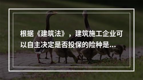 根据《建筑法》，建筑施工企业可以自主决定是否投保的险种是（　