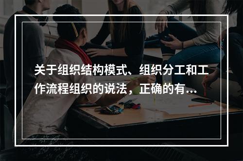 关于组织结构模式、组织分工和工作流程组织的说法，正确的有（　