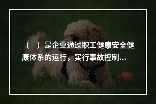 （　）是企业通过职工健康安全健康体系的运行，实行事故控制的开