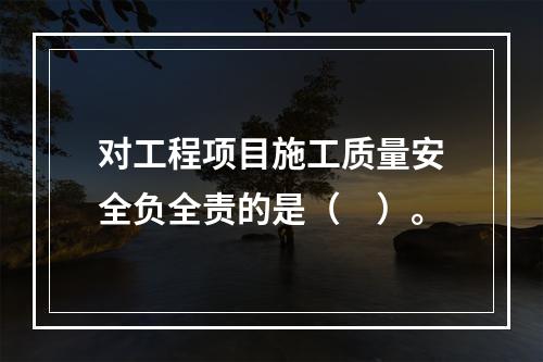 对工程项目施工质量安全负全责的是（　）。