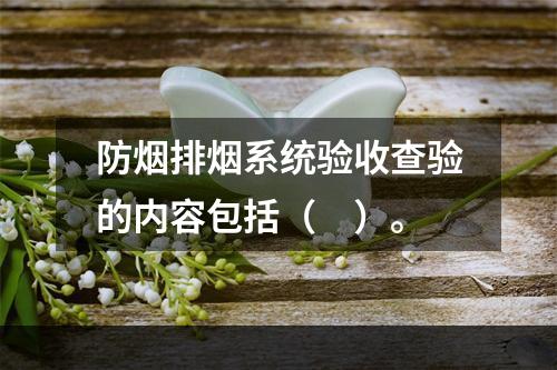 防烟排烟系统验收查验的内容包括（　）。