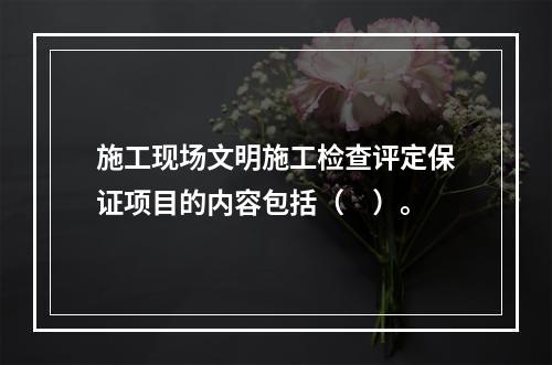 施工现场文明施工检查评定保证项目的内容包括（　）。