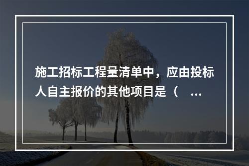 施工招标工程量清单中，应由投标人自主报价的其他项目是（　）。