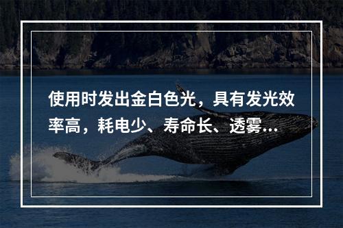 使用时发出金白色光，具有发光效率高，耗电少、寿命长、透雾能力