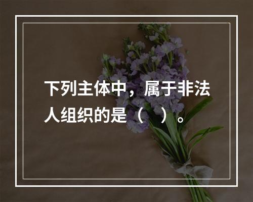 下列主体中，属于非法人组织的是（　）。