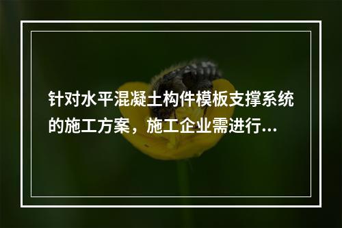 针对水平混凝土构件模板支撑系统的施工方案，施工企业需进行专家