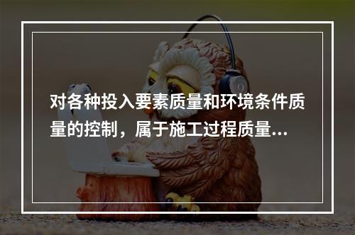 对各种投入要素质量和环境条件质量的控制，属于施工过程质量控制