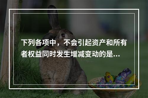 下列各项中，不会引起资产和所有者权益同时发生增减变动的是(　