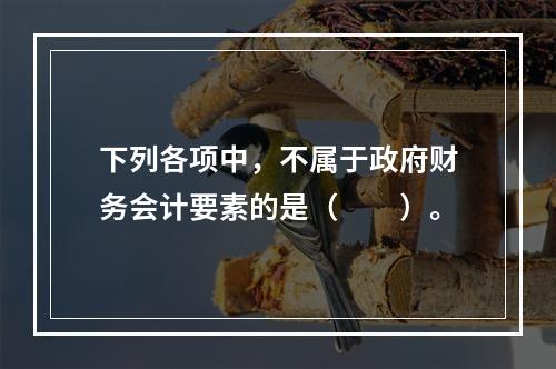 下列各项中，不属于政府财务会计要素的是（　　）。