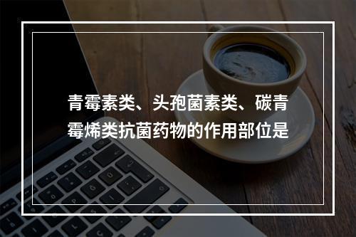 青霉素类、头孢菌素类、碳青霉烯类抗菌药物的作用部位是