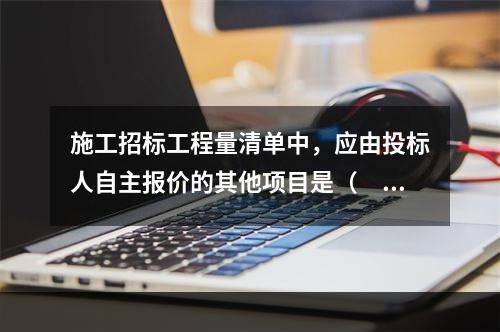 施工招标工程量清单中，应由投标人自主报价的其他项目是（　）。