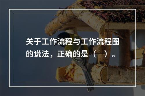 关于工作流程与工作流程图的说法，正确的是（　）。