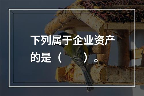 下列属于企业资产的是（　　）。