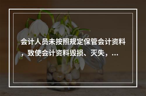 会计人员未按照规定保管会计资料，致使会计资料毁损、灭失，情节