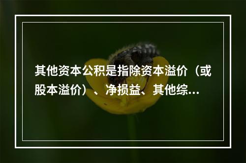 其他资本公积是指除资本溢价（或股本溢价）、净损益、其他综合收