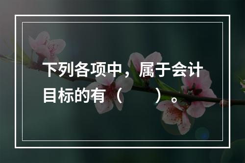 下列各项中，属于会计目标的有（　　）。