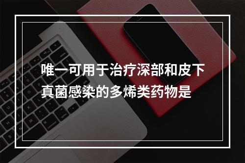 唯一可用于治疗深部和皮下真菌感染的多烯类药物是