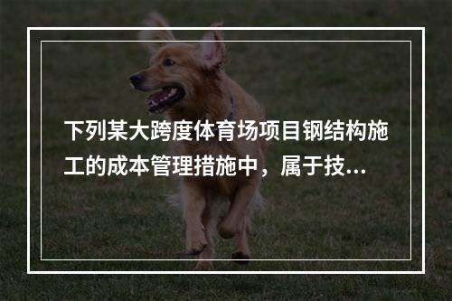 下列某大跨度体育场项目钢结构施工的成本管理措施中，属于技术措