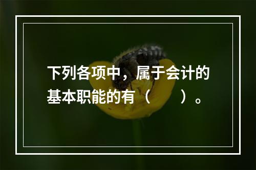 下列各项中，属于会计的基本职能的有（　　）。