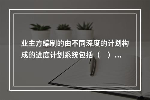 业主方编制的由不同深度的计划构成的进度计划系统包括（　）。