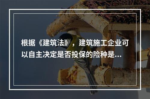 根据《建筑法》，建筑施工企业可以自主决定是否投保的险种是（　