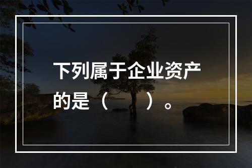 下列属于企业资产的是（　　）。