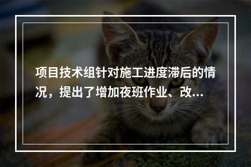 项目技术组针对施工进度滞后的情况，提出了增加夜班作业、改进施