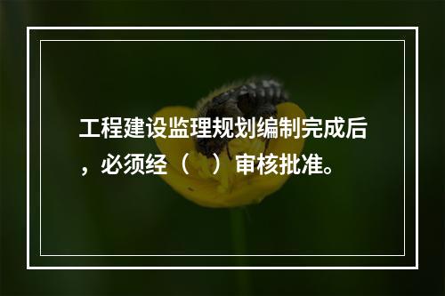 工程建设监理规划编制完成后，必须经（　）审核批准。