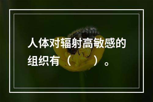 人体对辐射高敏感的组织有（　　）。