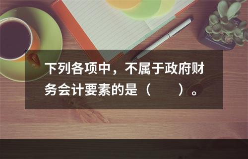 下列各项中，不属于政府财务会计要素的是（　　）。