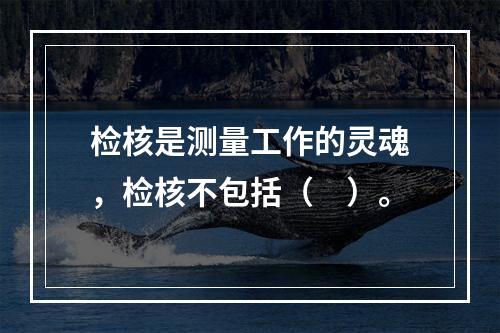 检核是测量工作的灵魂，检核不包括（　）。