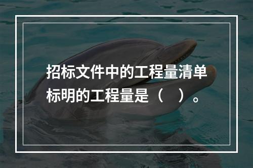 招标文件中的工程量清单标明的工程量是（　）。