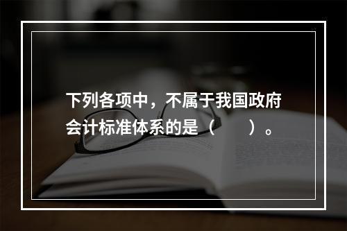 下列各项中，不属于我国政府会计标准体系的是（　　）。