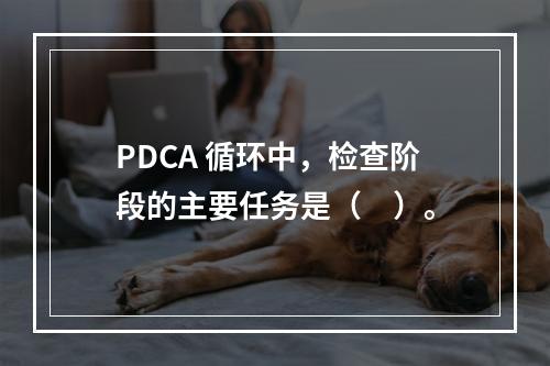 PDCA 循环中，检查阶段的主要任务是（　）。