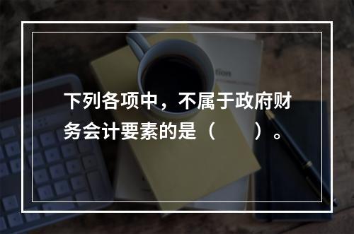 下列各项中，不属于政府财务会计要素的是（　　）。