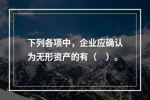 下列各项中，企业应确认为无形资产的有（　）。