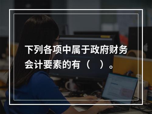 下列各项中属于政府财务会计要素的有（　）。