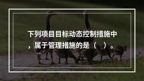 下列项目目标动态控制措施中，属于管理措施的是（　）。