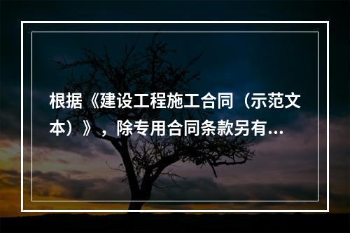 根据《建设工程施工合同（示范文本）》，除专用合同条款另有约定